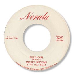 Silly girl - NORALA 6603
