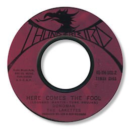 Here comes the fool - THINDERBIRD 102